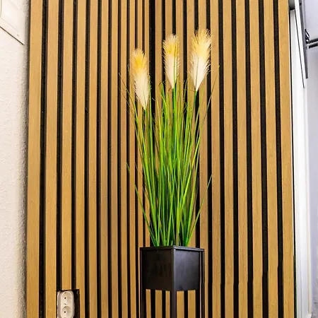 Apartment Inftour Apolo Iv